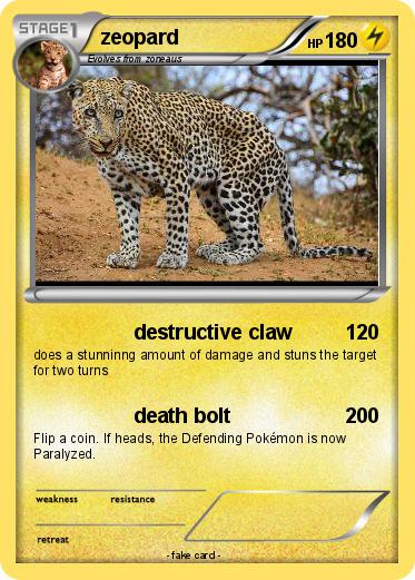 Pokemon zeopard