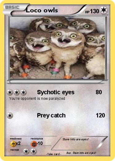 Pokemon Loco owls