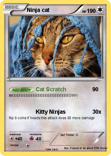 Pokemon Ninja cat