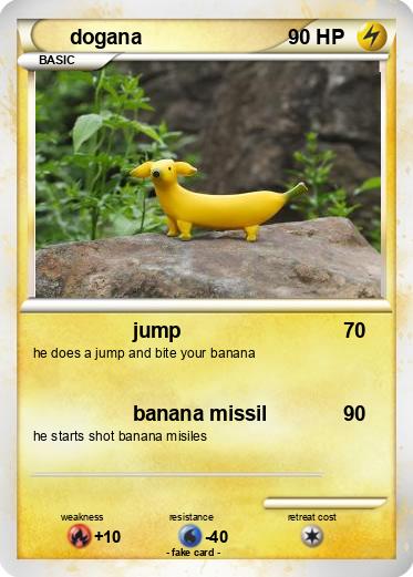 Pokemon dogana
