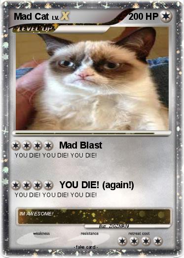 Pokemon Mad Cat