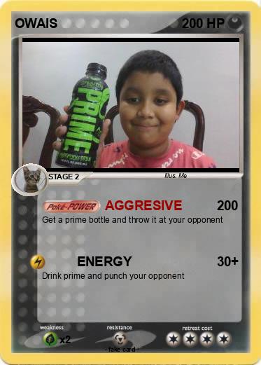 Pokemon OWAIS