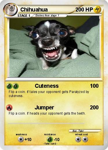 Pokemon Chihuahua