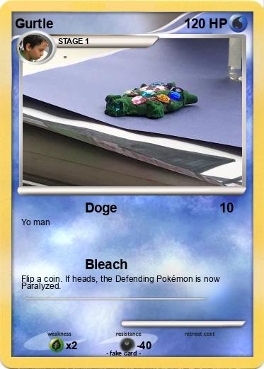 Pokemon Gurtle