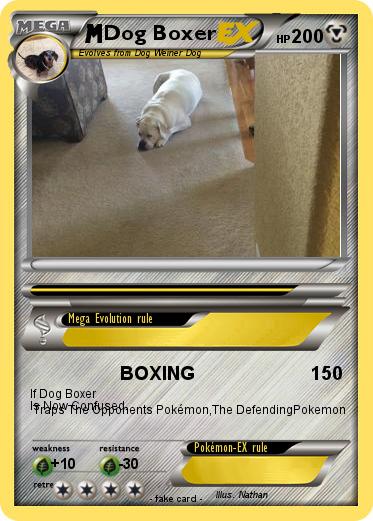 Pokemon Dog Boxer