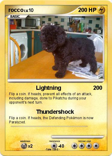 Pokemon rocco
