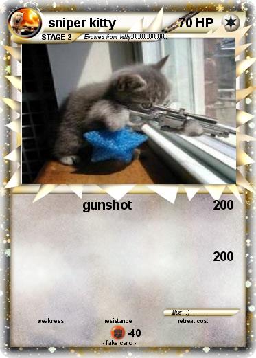 Pokemon sniper kitty