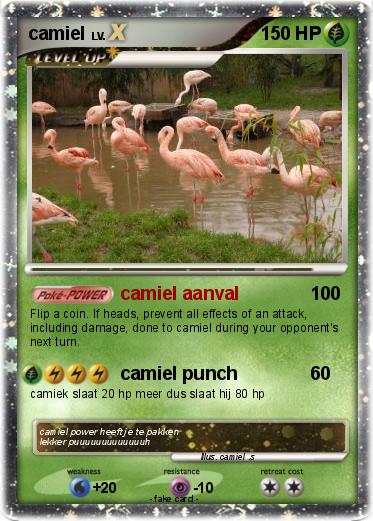 Pokemon camiel