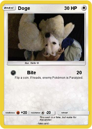 Pokemon Doge