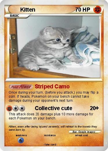 Pokemon Kitten