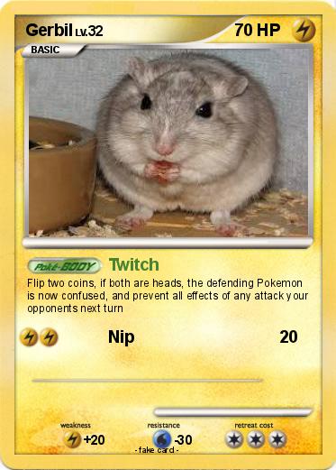 Pokemon Gerbil