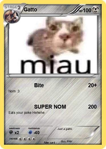 Pokemon Gatto