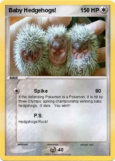 Pokemon Baby Hedgehogs!