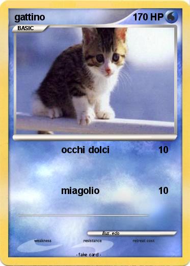 Pokemon gattino
