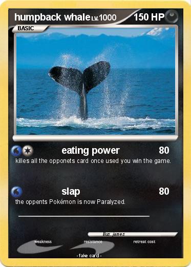 Pokemon humpback whale