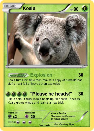 Pokemon Koala