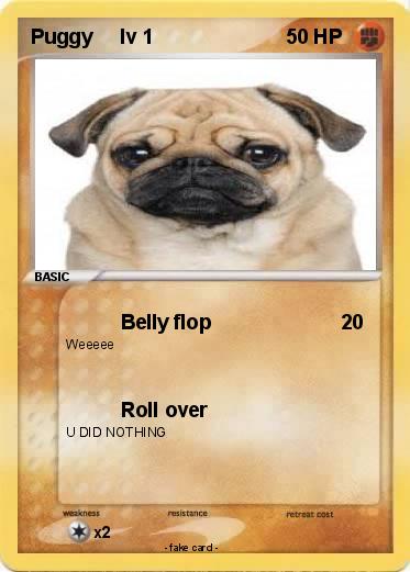 Pokemon Puggy     lv 1