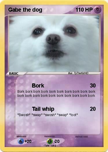 Pokemon Gabe the dog