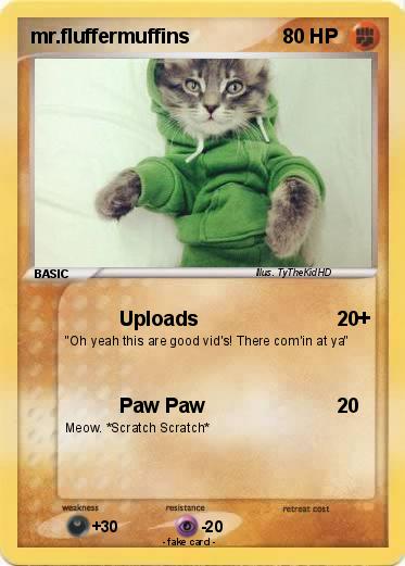 Pokemon mr.fluffermuffins