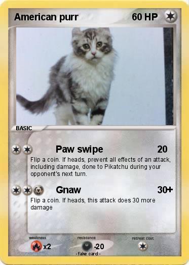 Pokemon American purr