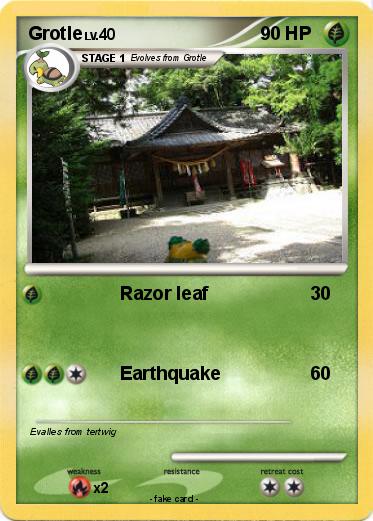 Pokemon Grotle