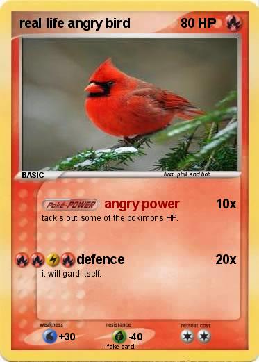 Pokemon real life angry bird