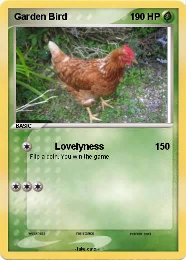 Pokemon Garden Bird