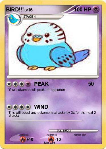 Pokemon BIRD!!!