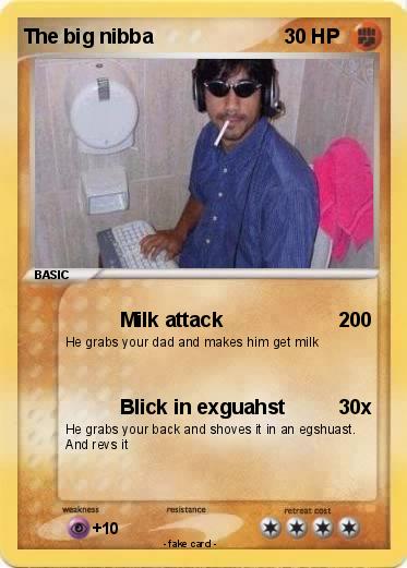 Pokemon The big nibba