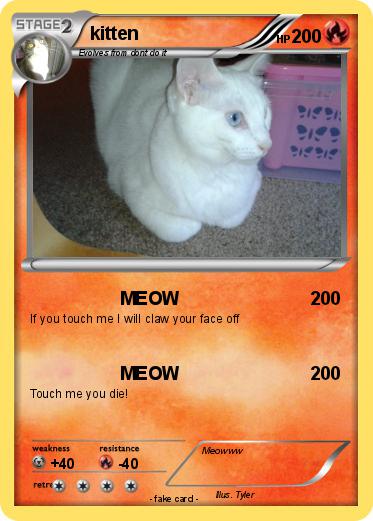 Pokemon kitten