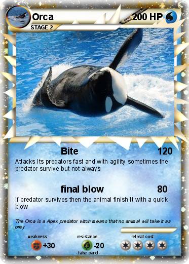 Pokemon Orca