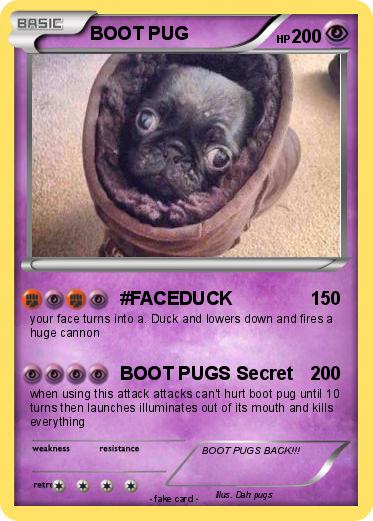 Pokemon BOOT PUG