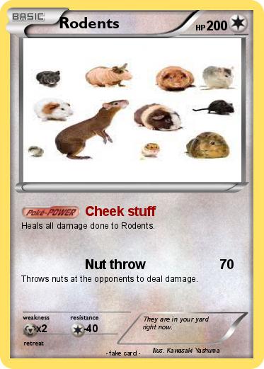 Pokemon Rodents