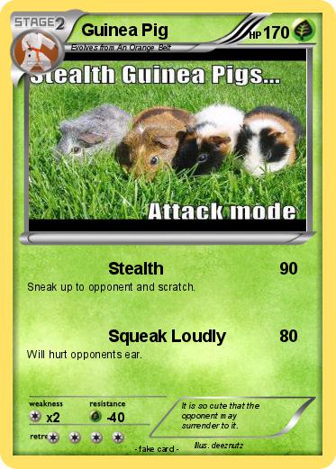 Pokemon Guinea Pig