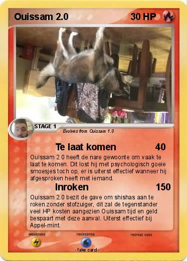 Pokemon Ouissam 2.0