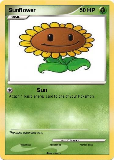 Pokemon Sunflower