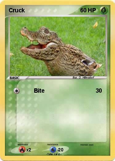 Pokemon Cruck