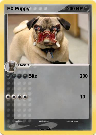 Pokemon EX Puppy