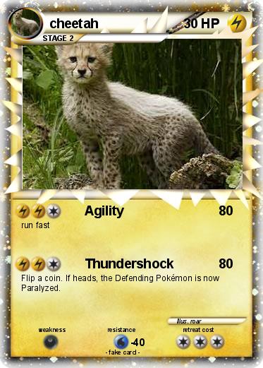 Pokemon cheetah