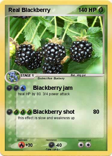 Pokemon Real Blackberry