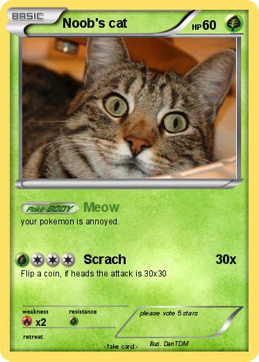 Pokemon Noob's cat