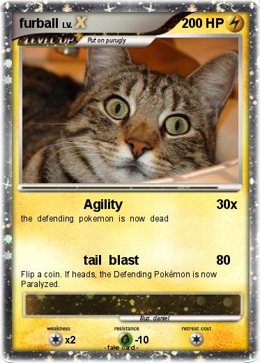 Pokemon furball