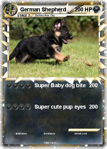 Pokemon German Shepherd