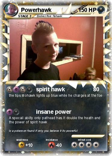 Pokemon Powerhawk