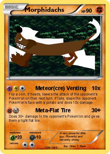 Pokemon Morphidachs