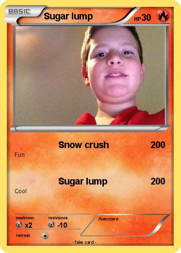 Pokemon Sugar lump