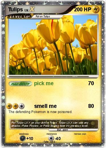 Pokemon Tulips