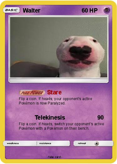 Pokemon Walter