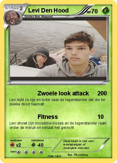 Pokemon Levi Den Hood