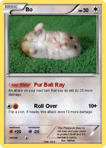 Pokemon Bo